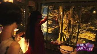 杨丽萍月亮宫视频,探寻舞蹈艺术与自然和谐共生的神秘之旅